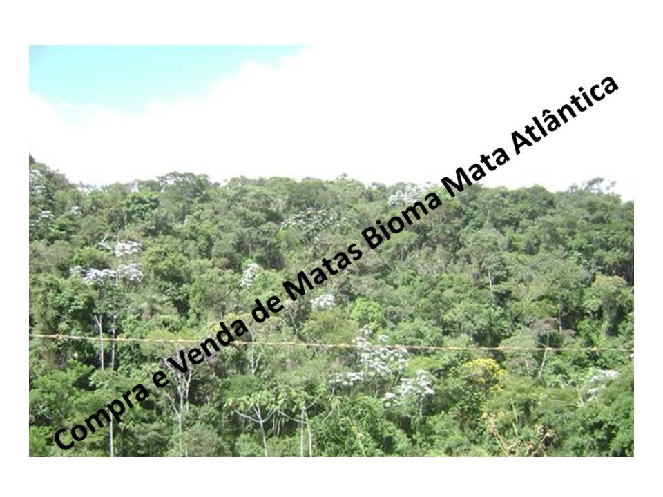 Venda - São Paulo Áreas Reserva Legal Iporanga - SP Venda - São Paulo Áreas Reserva Legal Iporanga - SP